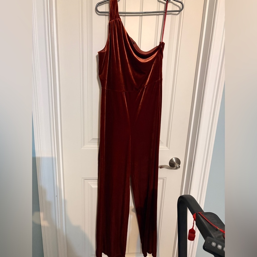 Banana Republic Rust Velour Jumpsuit medium petite